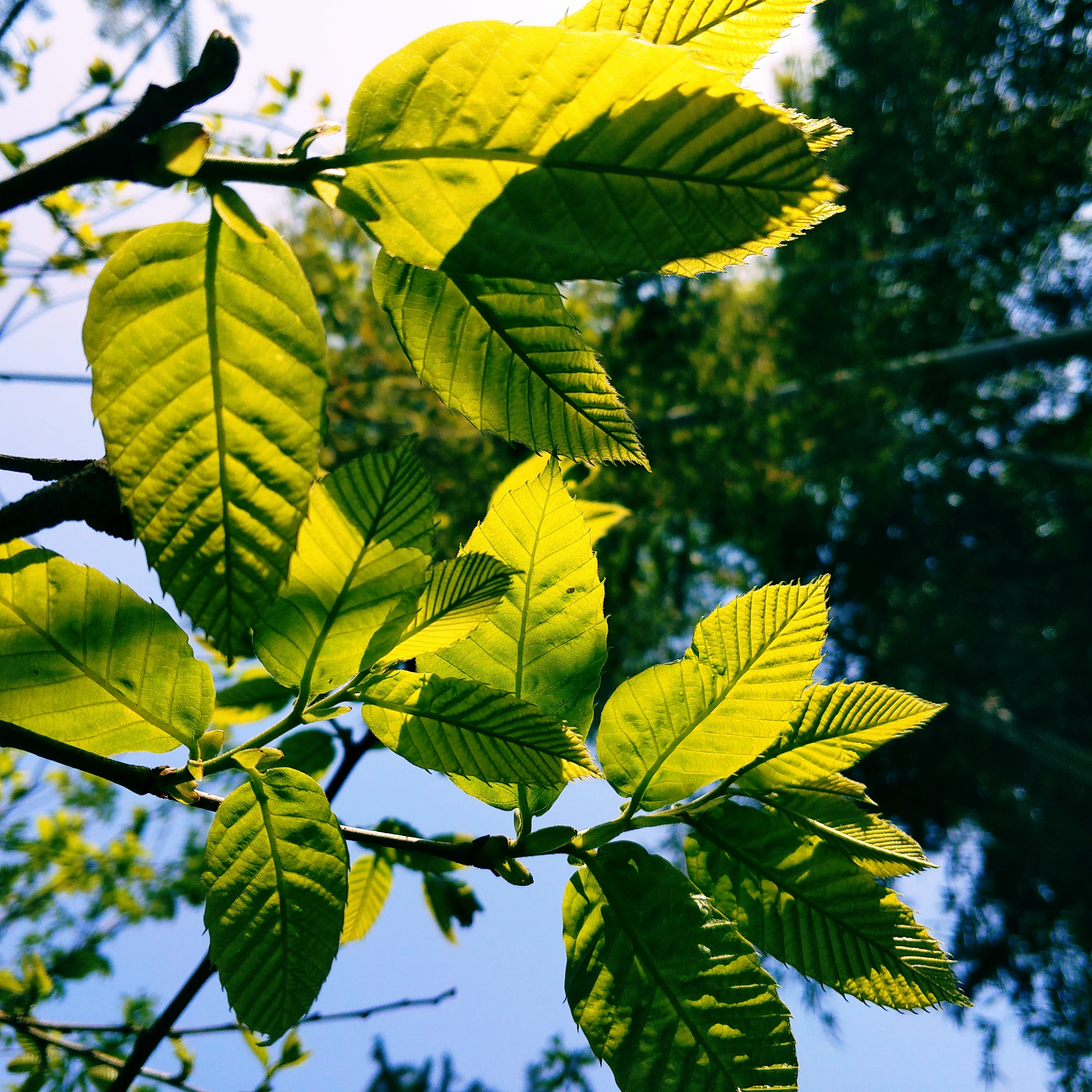 那一抹青绿,疗愈身心