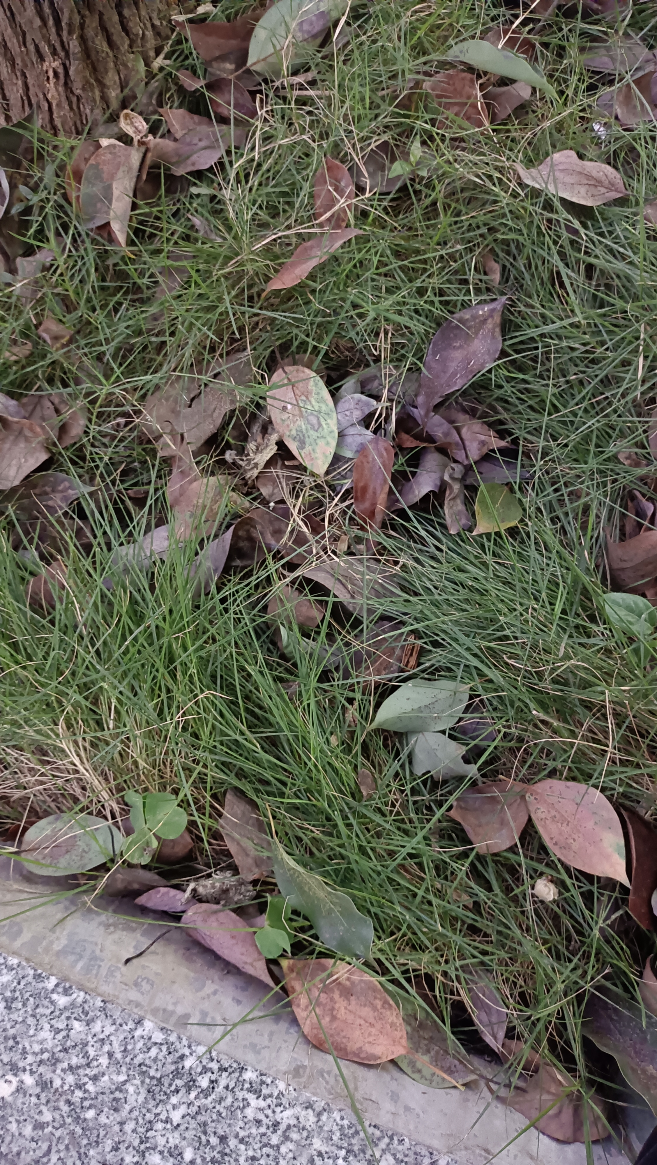 都在流逝 有时候不知道为啥要那么努力 挺迷茫的 可是到需要钱的时候