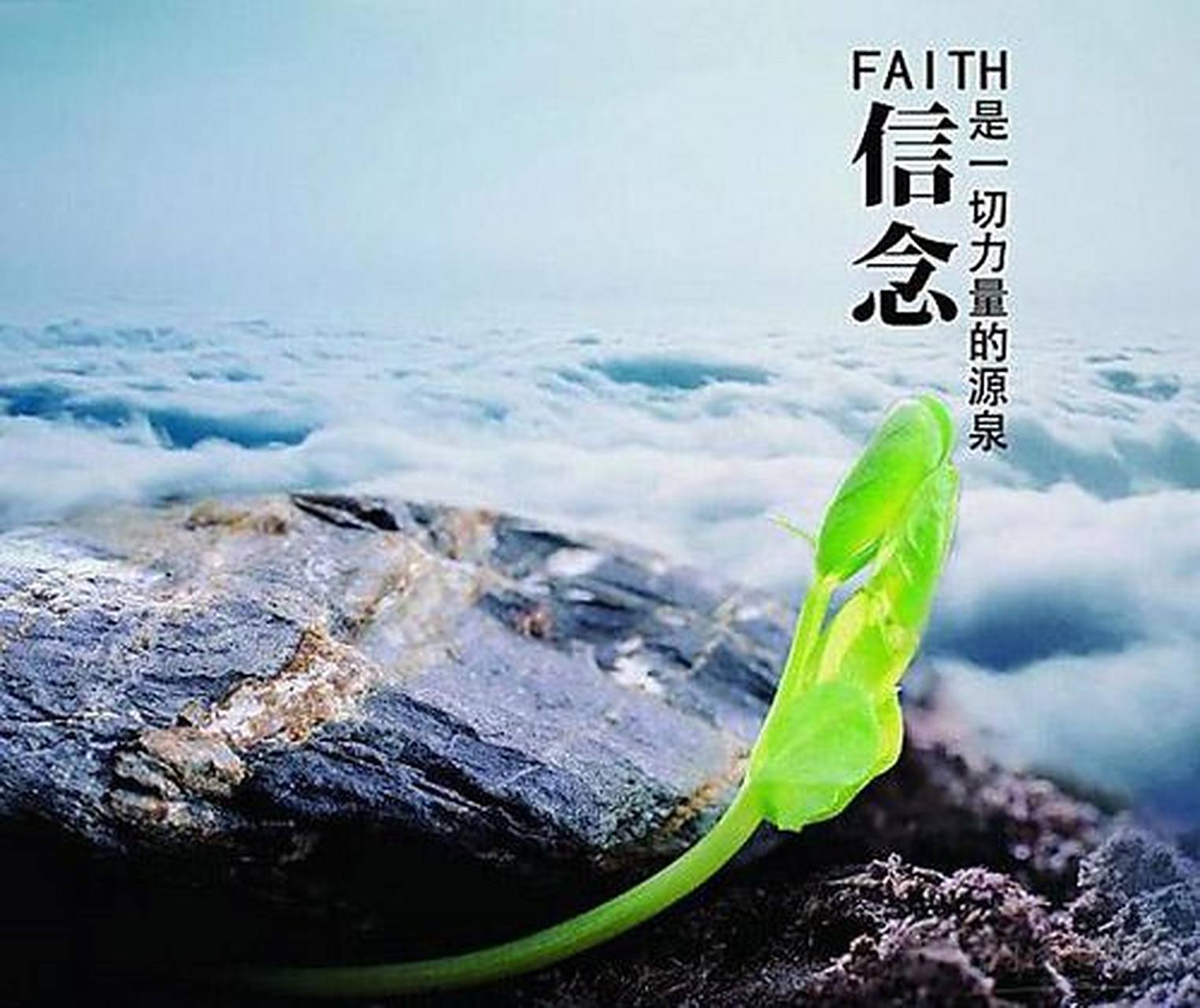 信念因为什么而成为信念(信念因为什么而成为信念的主体)