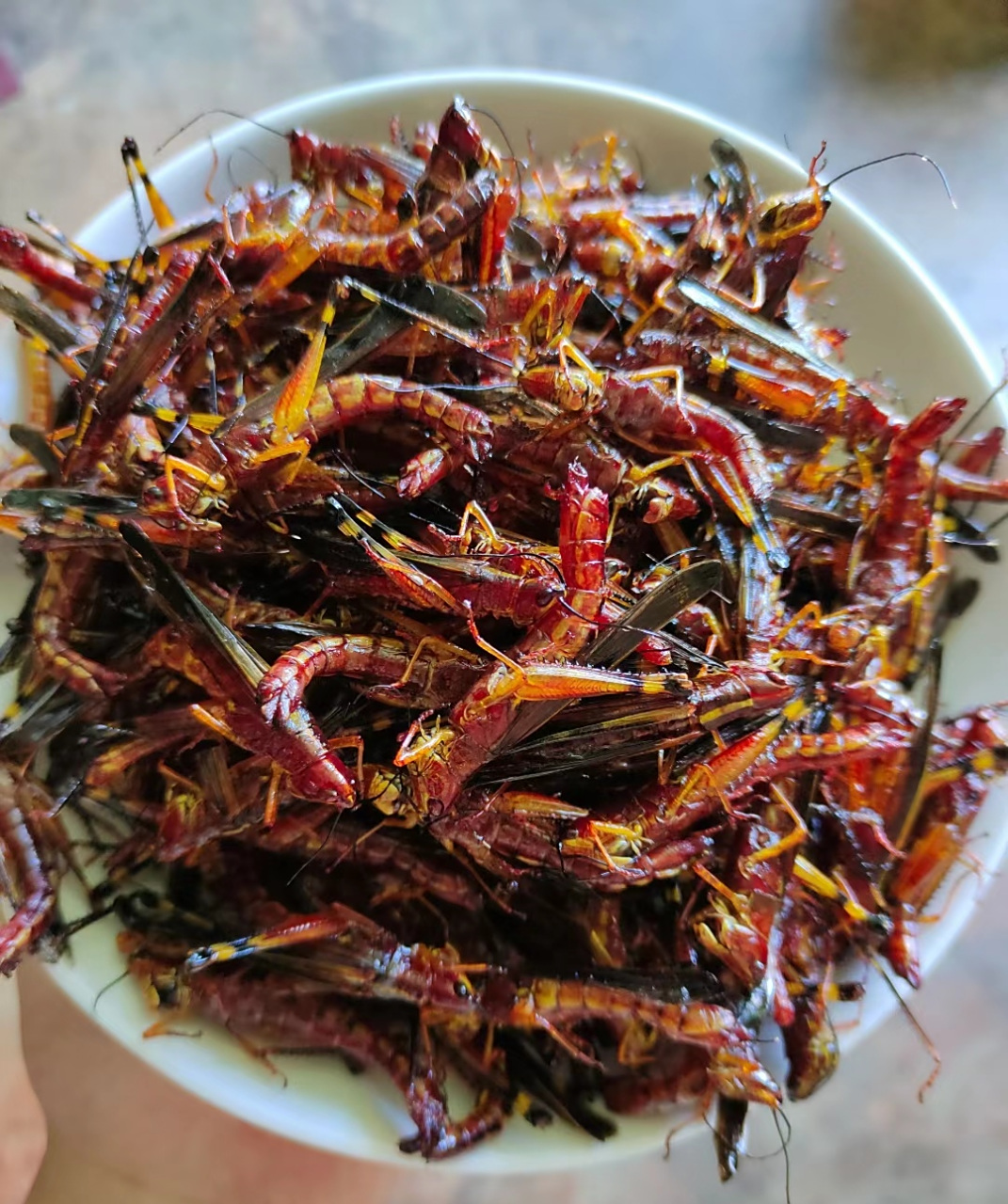 油炸蚂蚱,有多少炫多少.