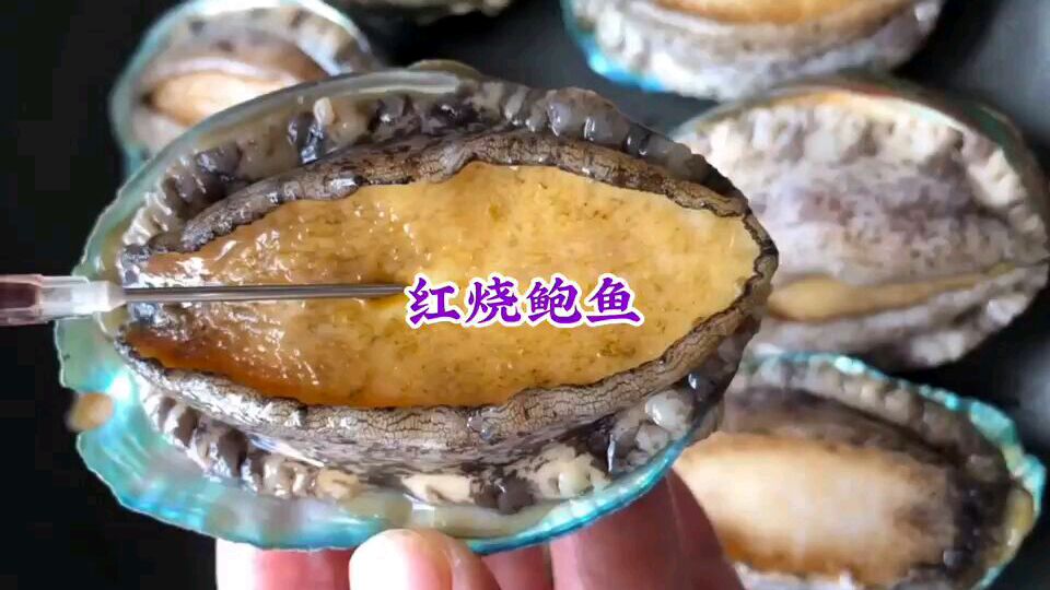 红烧鲍鱼简单易做,营养美味,自己做特实惠,赶快关注收藏吧