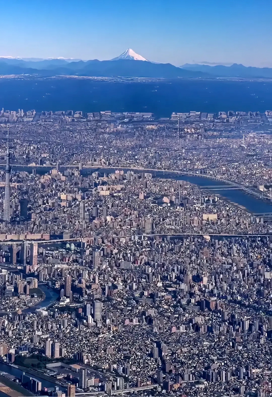 日本东京鸟瞰图图片