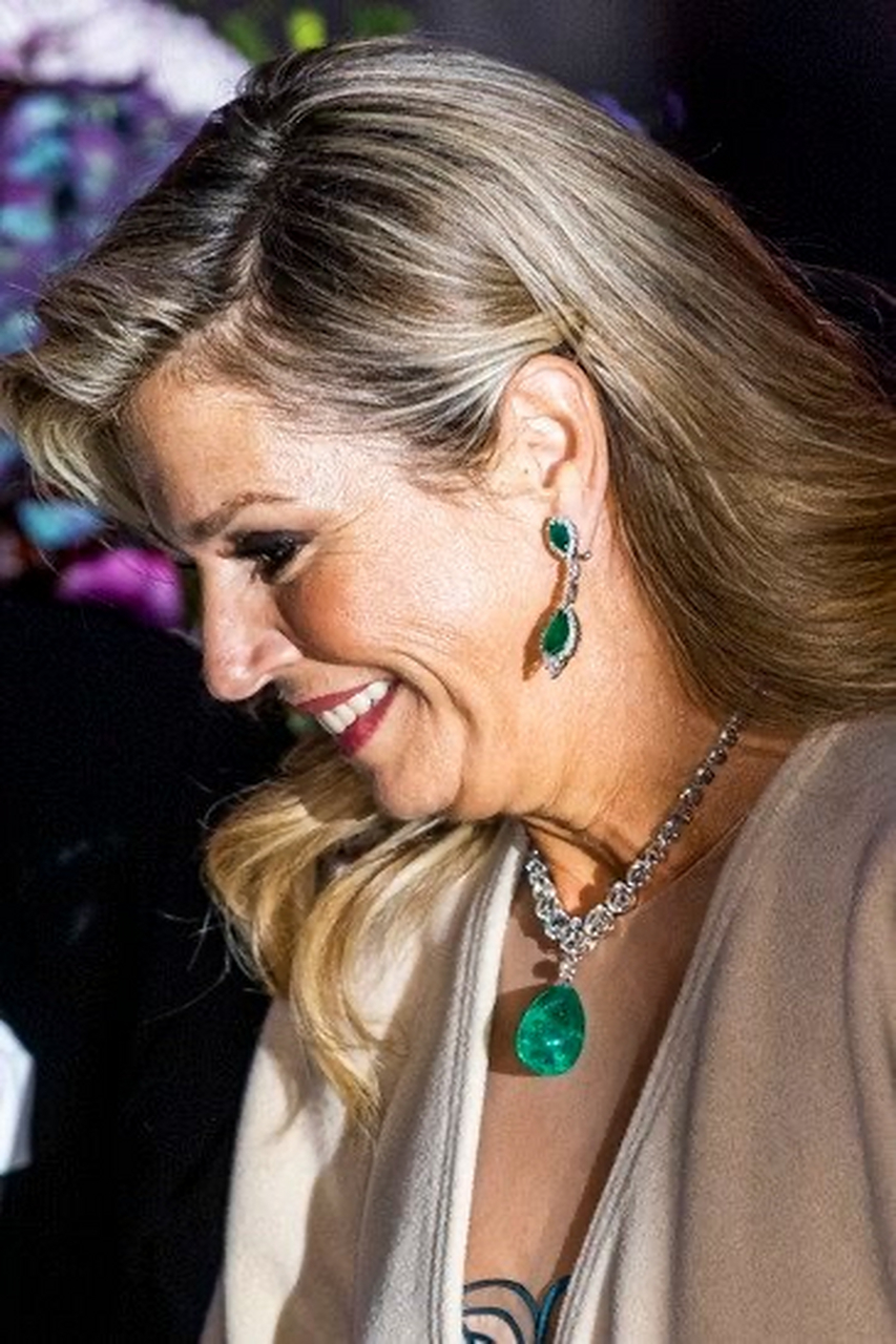 荷兰王后玛克西玛的这身造型把雍容华贵,优雅端庄体现的淋漓尽致.