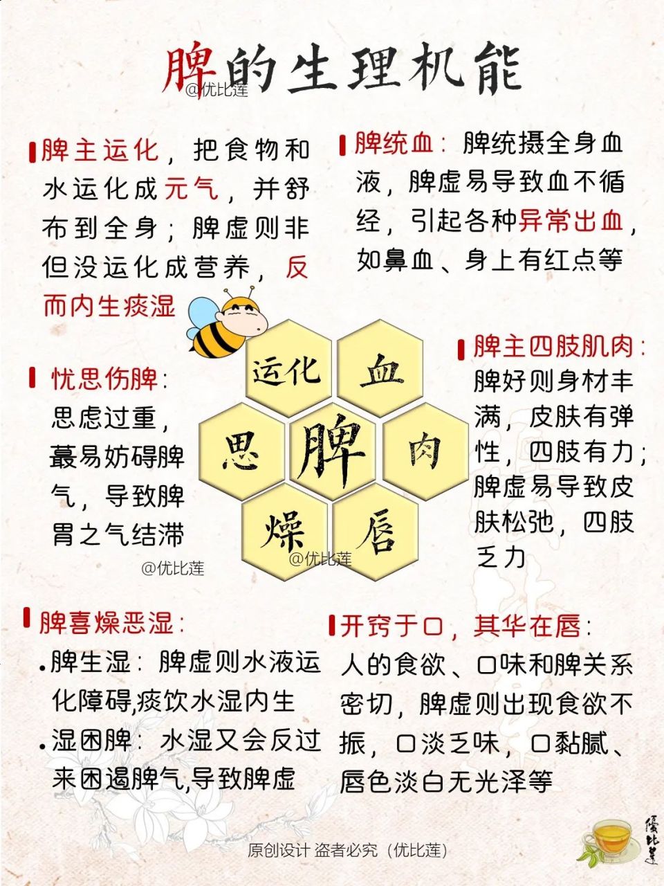 脾经作用图片