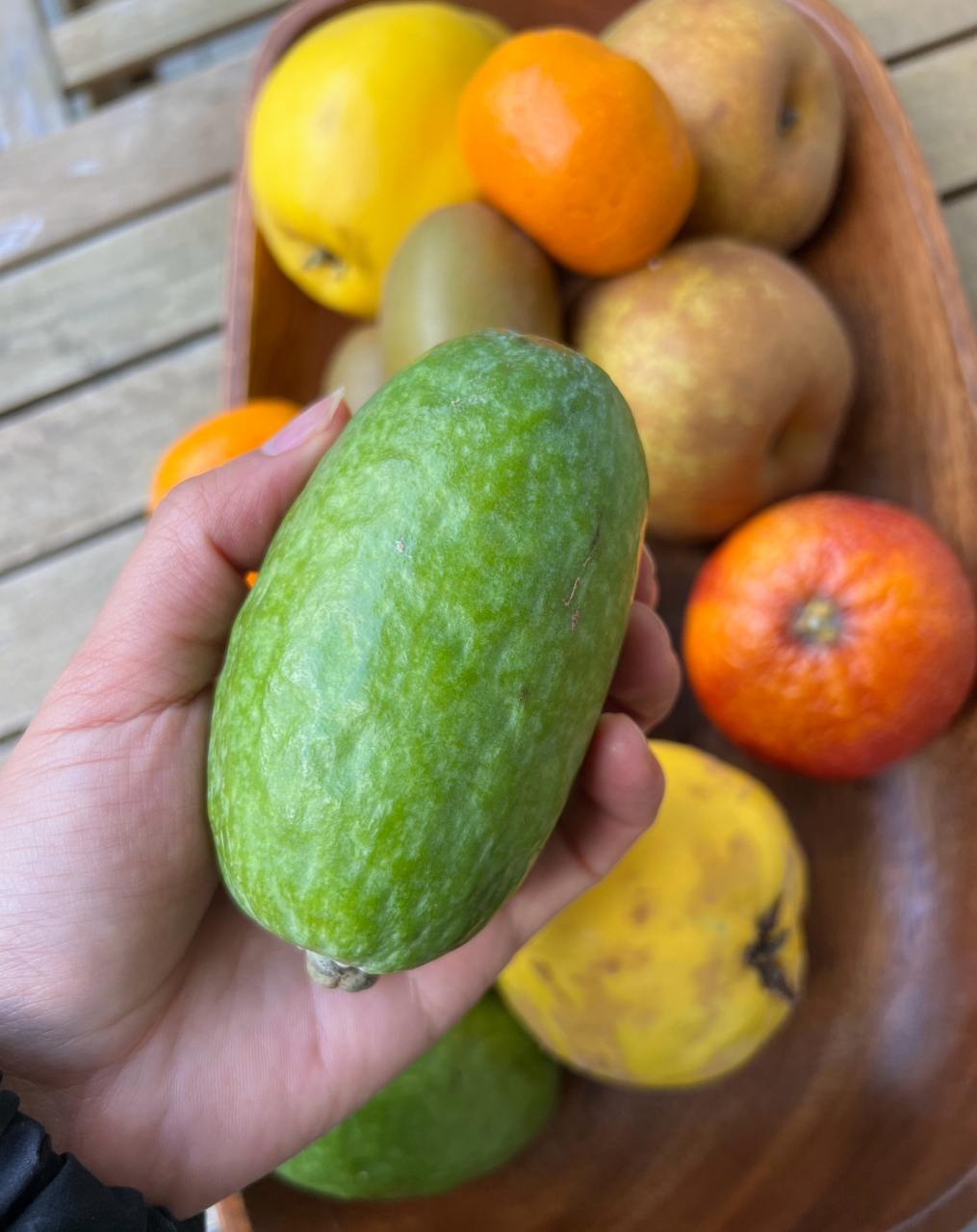 很多人没有吃过真正好吃的斐济果(菲油果),我在国内收到很多种植爱好