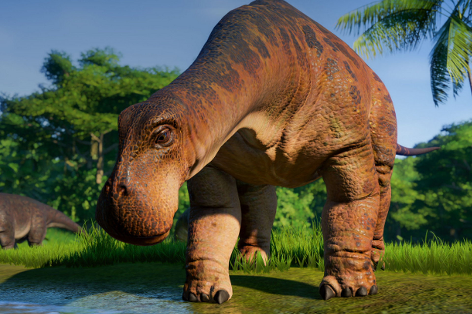 远古生物探秘——尼日尔龙 尼日尔龙是生存于白垩纪中期的食草性恐龙