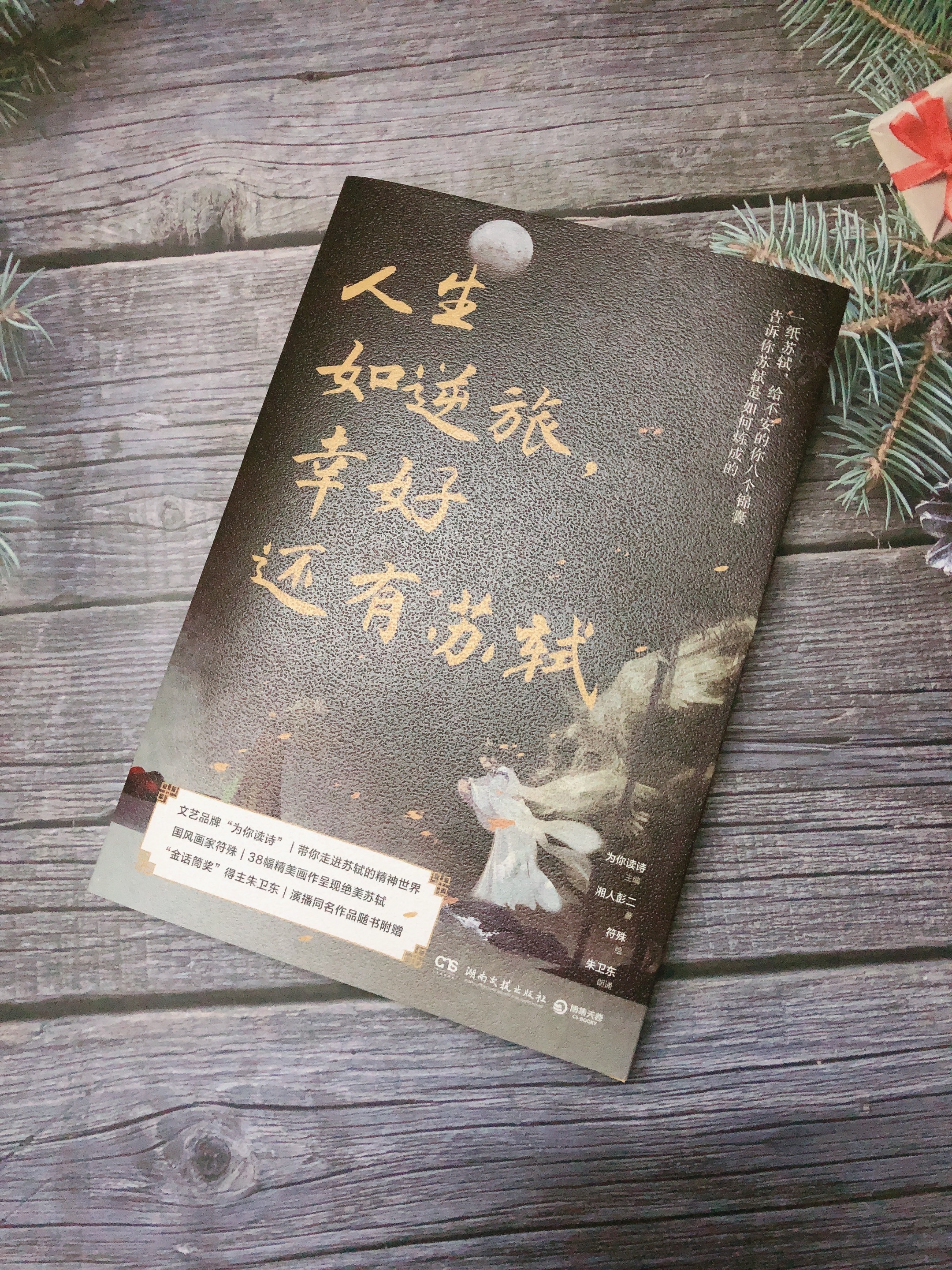 人生如逆旅,幸好还有苏轼