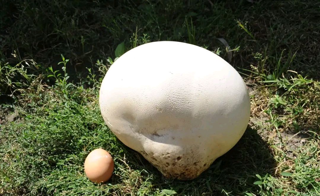 玩具包 - 热门商品专区