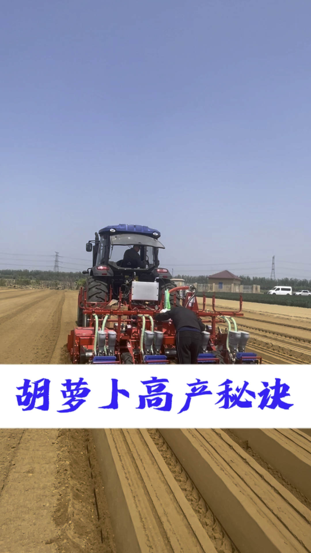 大顺胡萝卜播种机