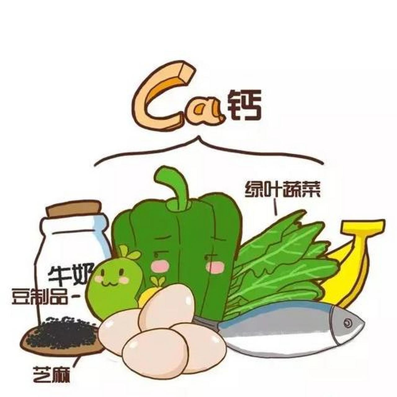 食物补钙:选择富含钙的食物是一种自然而有效的方式来满足身体对钙的