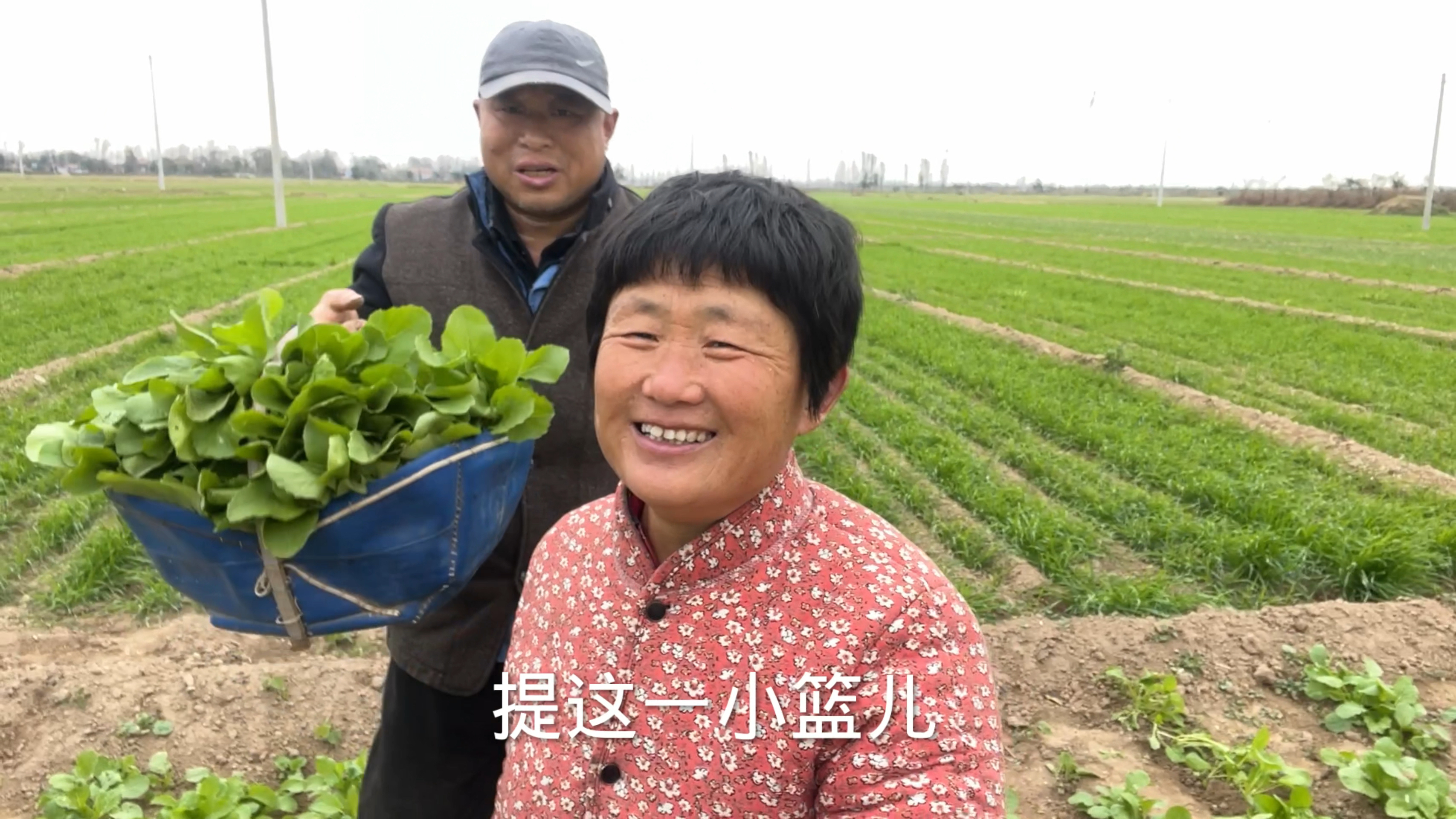 夫妻俩为了吃到美味可口的菜籽苗做蒸菜,今天选错了天气