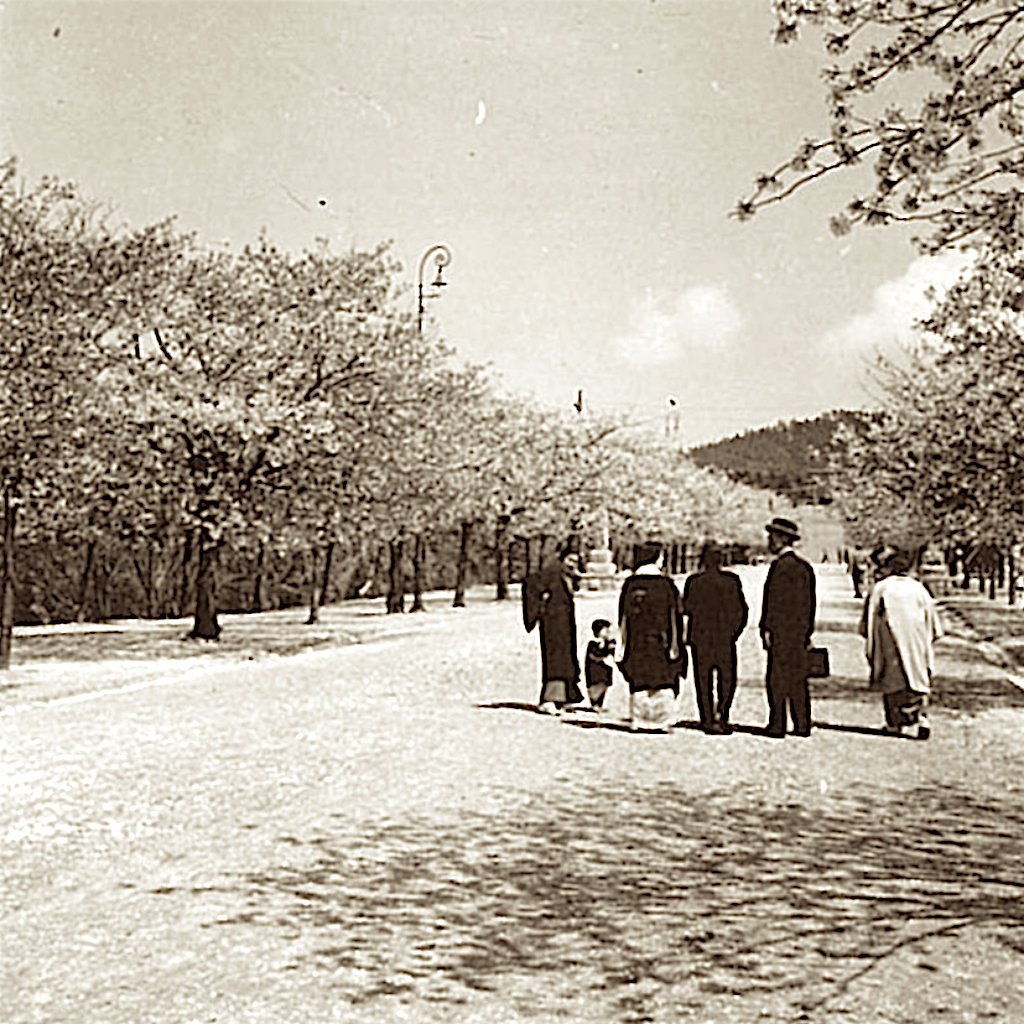 震撼!1938年青岛绝版老照片,处处西方建筑,安静,高雅又繁荣