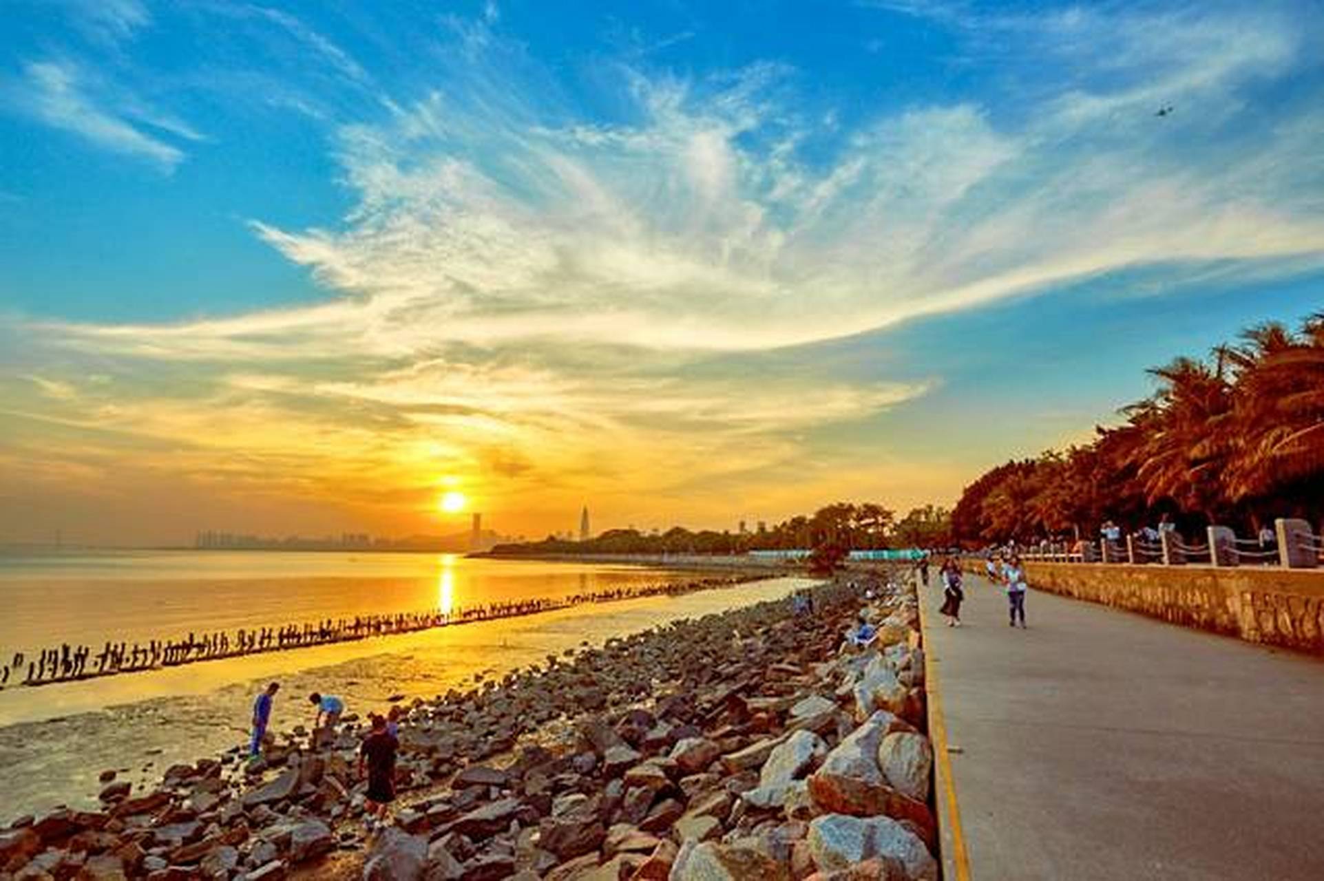 来西湾红树林看海拍照  西湾红树林公园位于宝安区固戍街道,最近很多