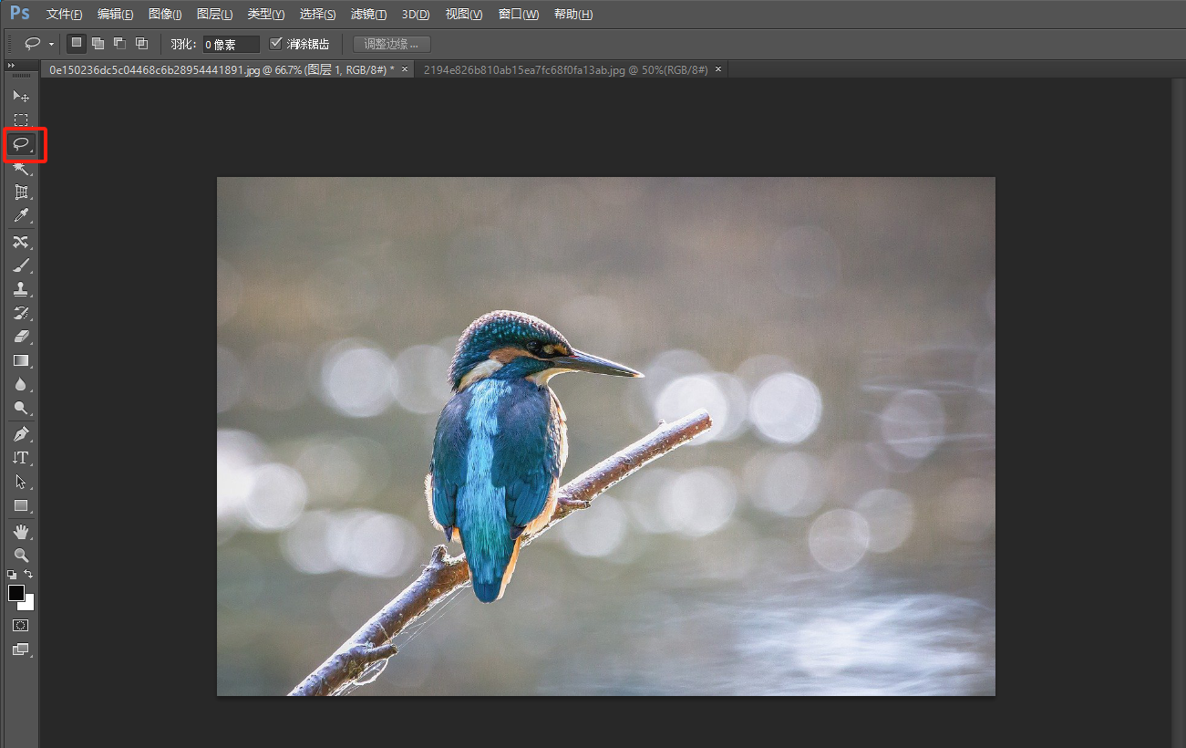 ps小技巧/套索工具抠图技巧