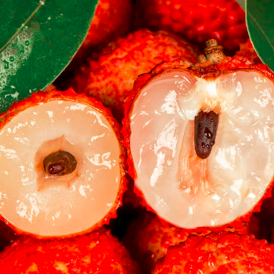 九湖兰竹荔枝的品种特点介绍