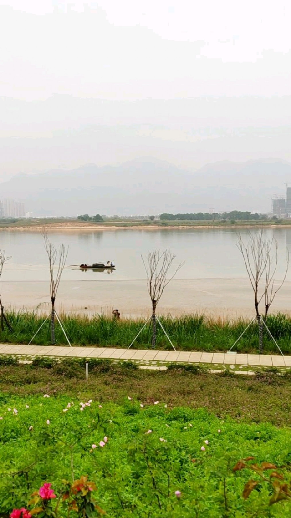 福州仓山区乌龙江湿地公园,绿叶红花,开阔江景,有人泛舟江上