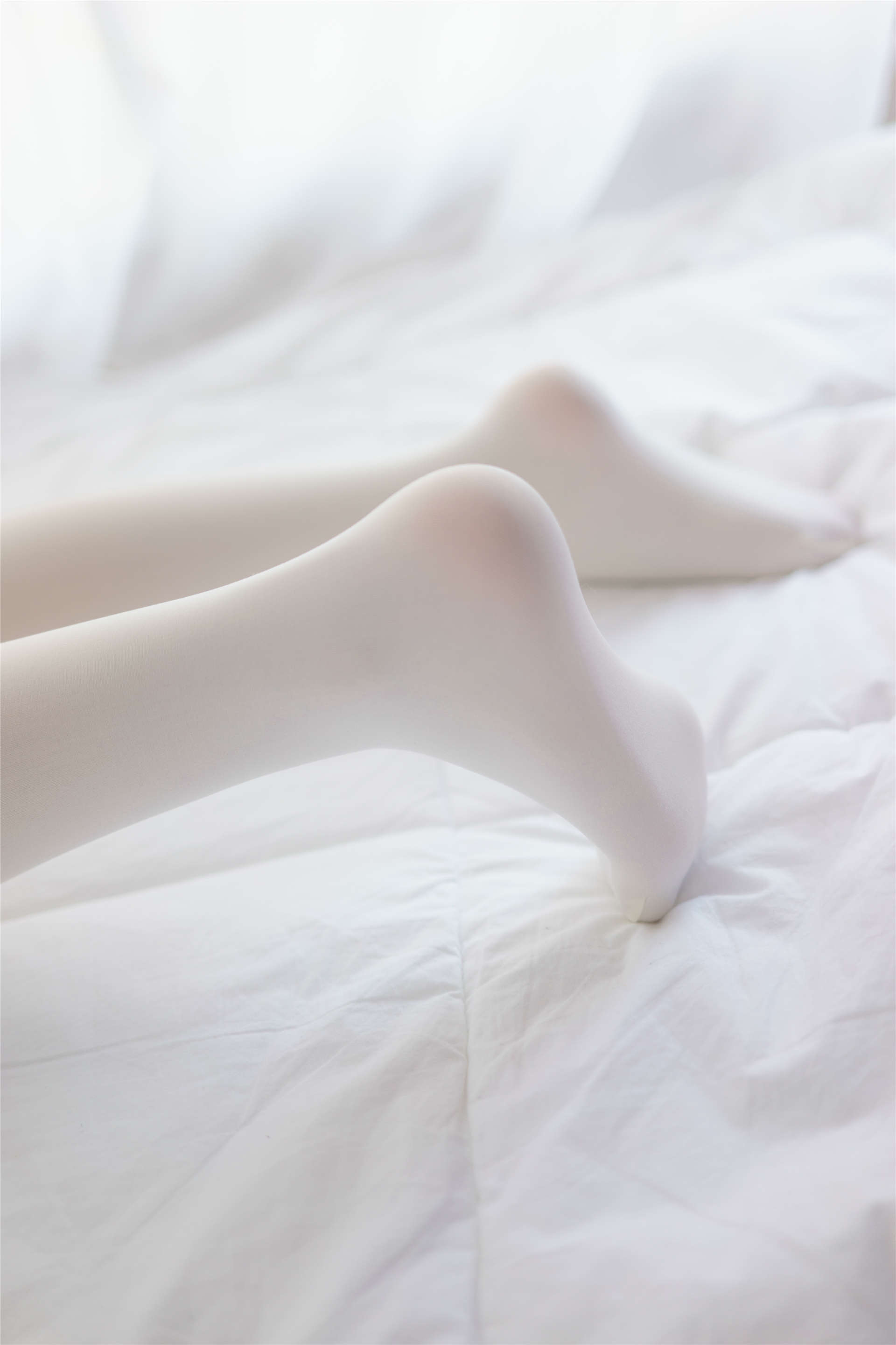 喵写真 VOL.00517.jpg