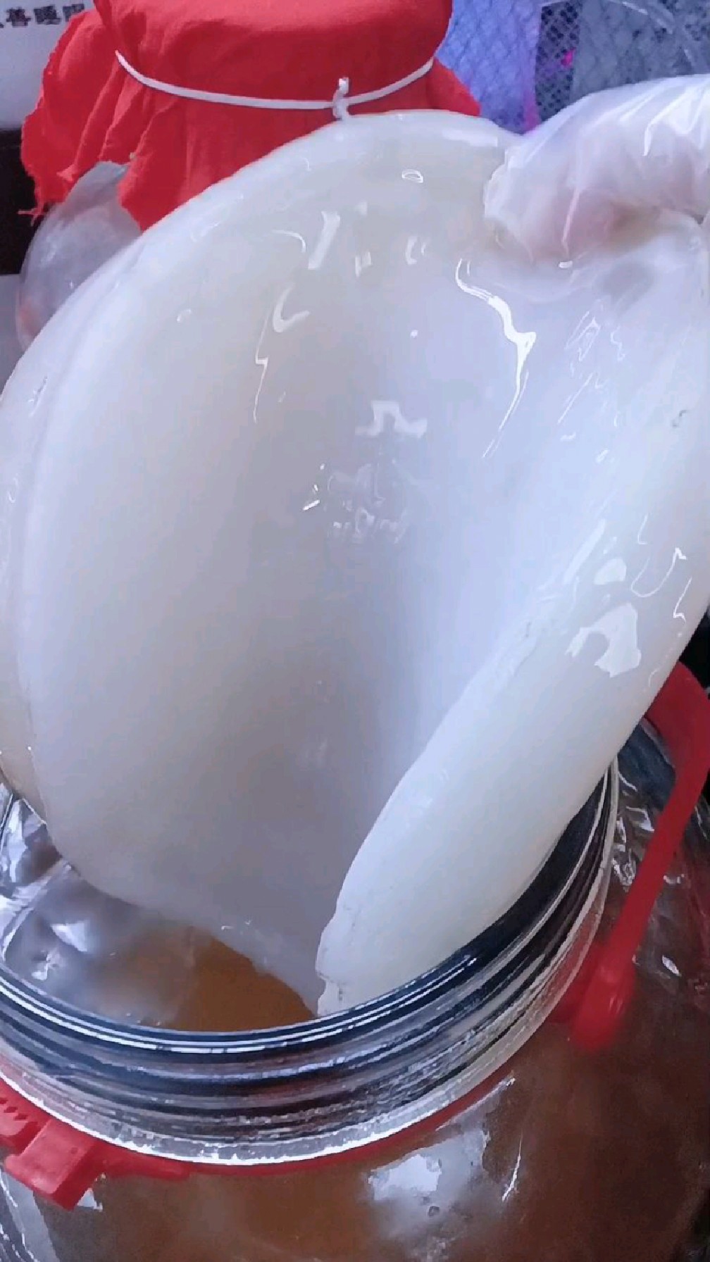 童年回忆,怀旧经典,老一辈都养着喝的胃宝,在你们那里叫作什么-度小