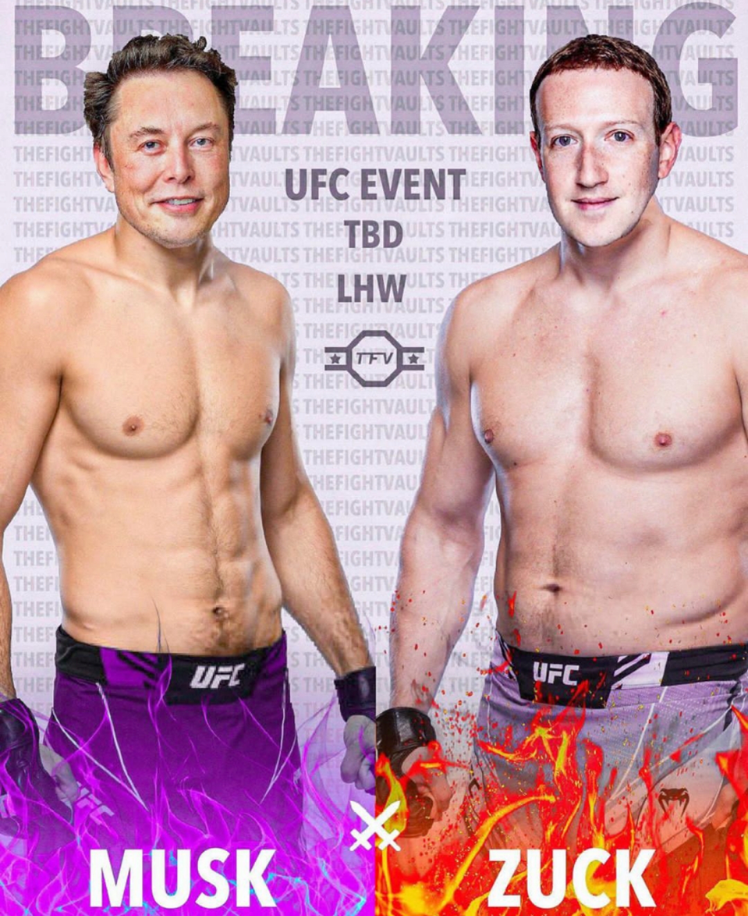 特斯拉马斯克vs扎克伯格,约战八角笼?