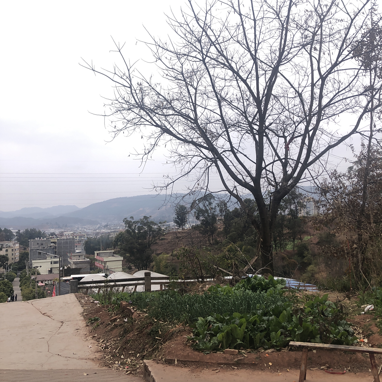 会理古城也有一个白马寺,香火还是旺的很.