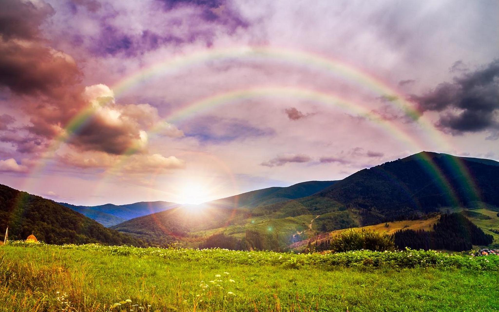 哈啰,百家的各位友友,早上好,很高兴在这个阳光明媚的早晨给予我最