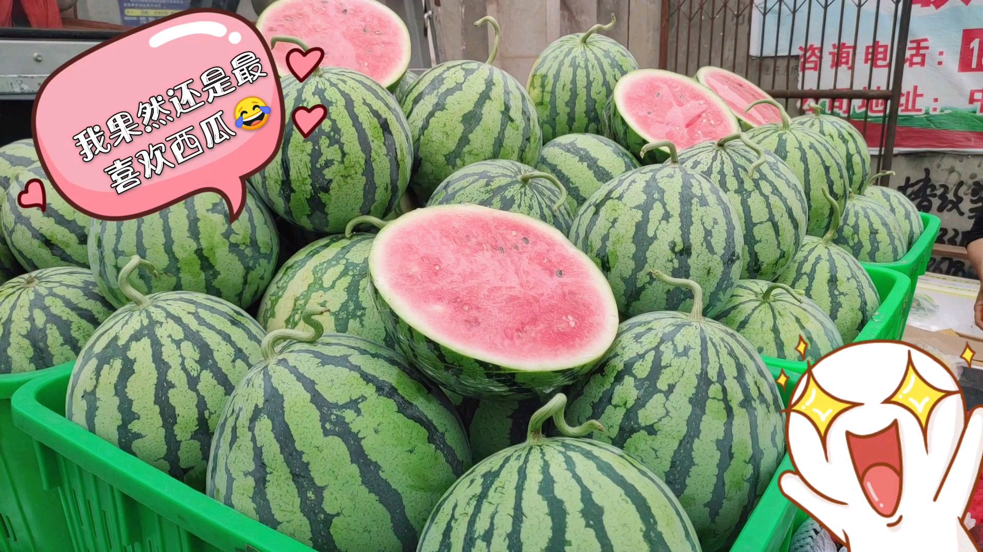 专家都说要吃当季的蔬菜和水果,看下农村里哪些蔬菜水果可以吃?
