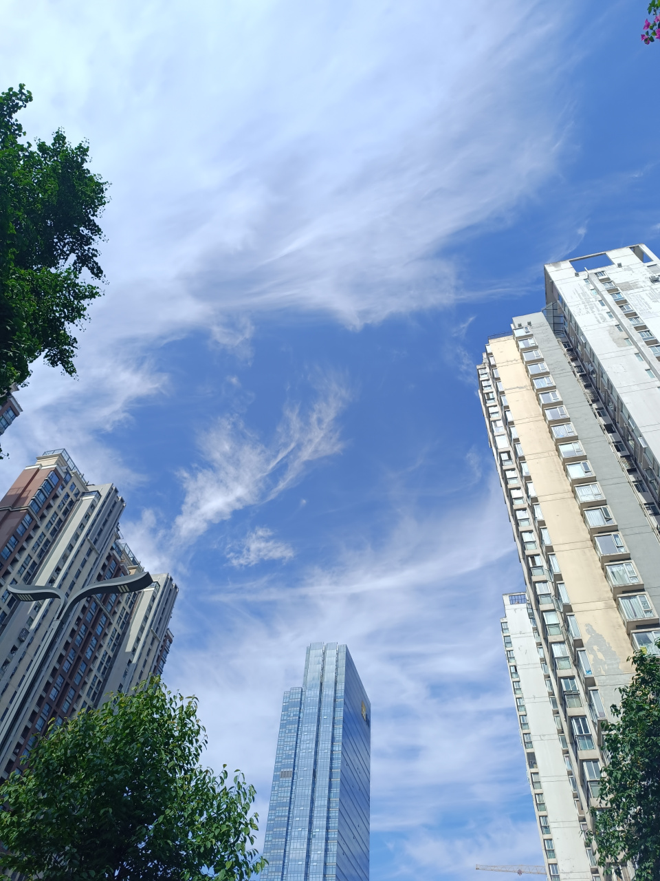 今天成都艳阳高照,晴空万里,这个蓝蓝的天空是不是很美呀?