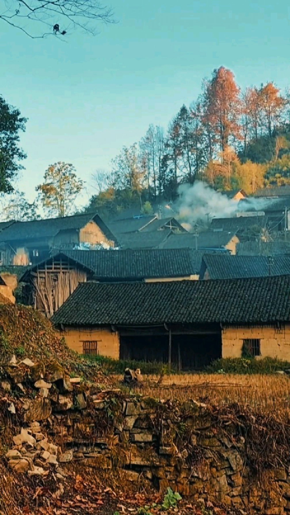 夕阳河边走,举目望苍穹,袅袅炊烟吹来了无边的思乡愁!