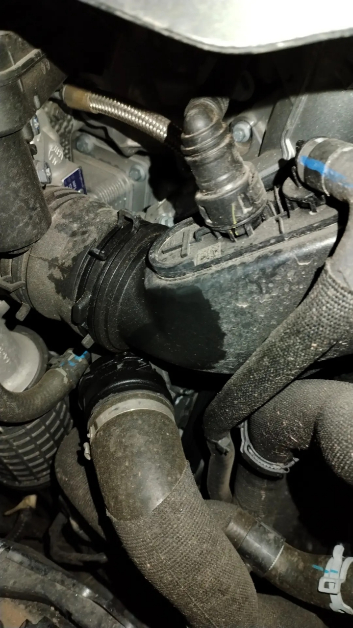 去年5月份买的捷豹xel,发动机故障灯常亮,涡轮进气管漏油!