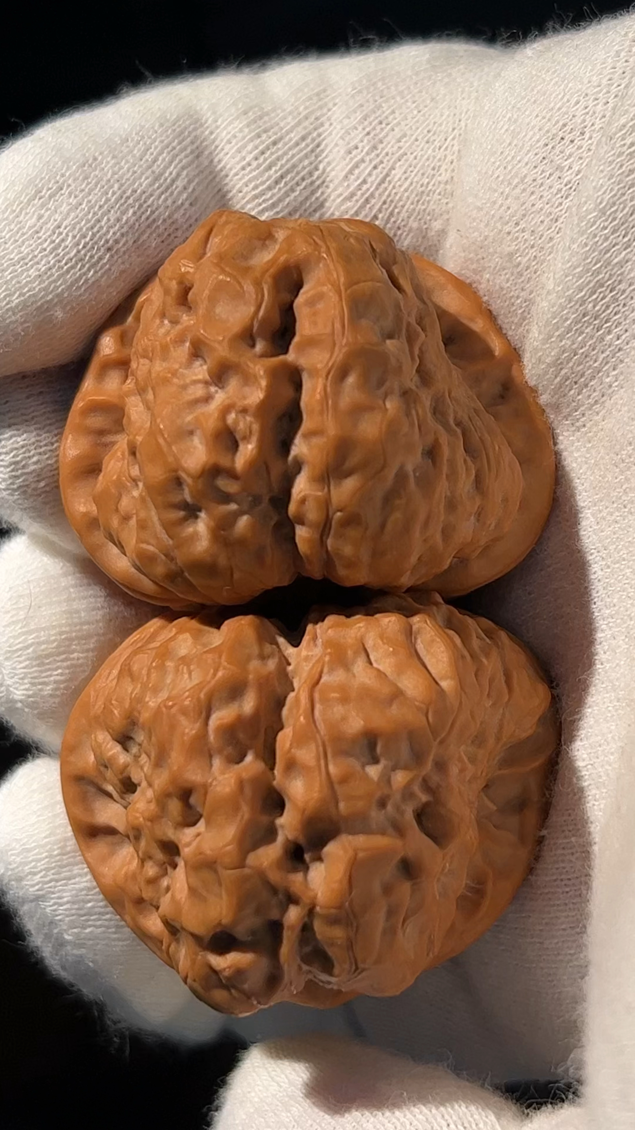 四面开背,百年老树果,延庆蛤蟆头核桃!-度小视