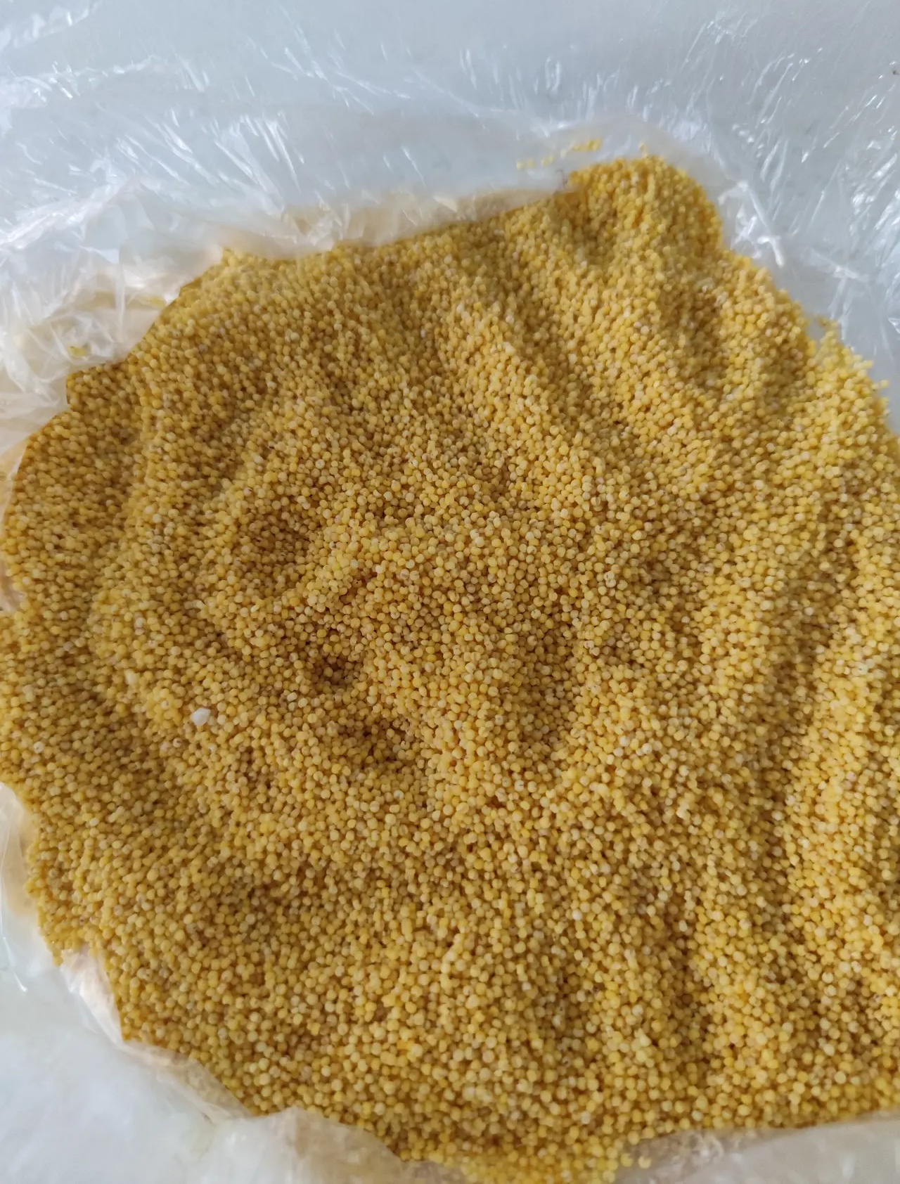 昨天将小米拿出来,将虫子尸体捡出去后又清洗了几遍,就煮了两碗小米粥