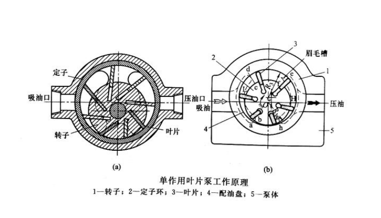 单作用叶片泵和双作用叶片泵的区别