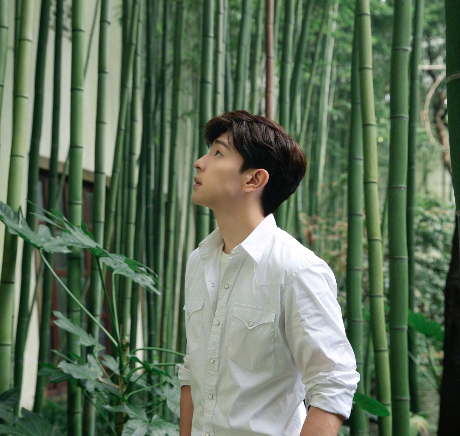 邓伦发文为家乡祈祷:石家庄加油!河北加油!