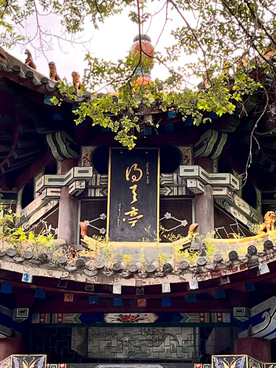 没文化真是太可怕了,麻烦帮忙看下这个亭子的名字,公园的河边有一凉亭