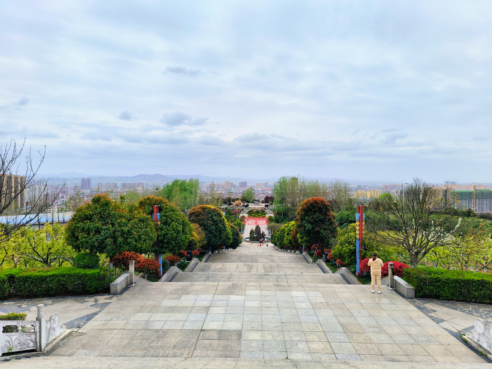 陕西汉中洋县朱鹮梨园景区,没有拍到国宝朱鹮,但是看到飞翔的朱鹮了