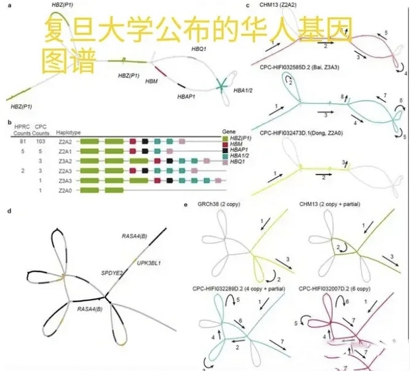 复旦大学在外国期刊上发布了中国基因图谱,复旦大学非常骄傲的宣布:这