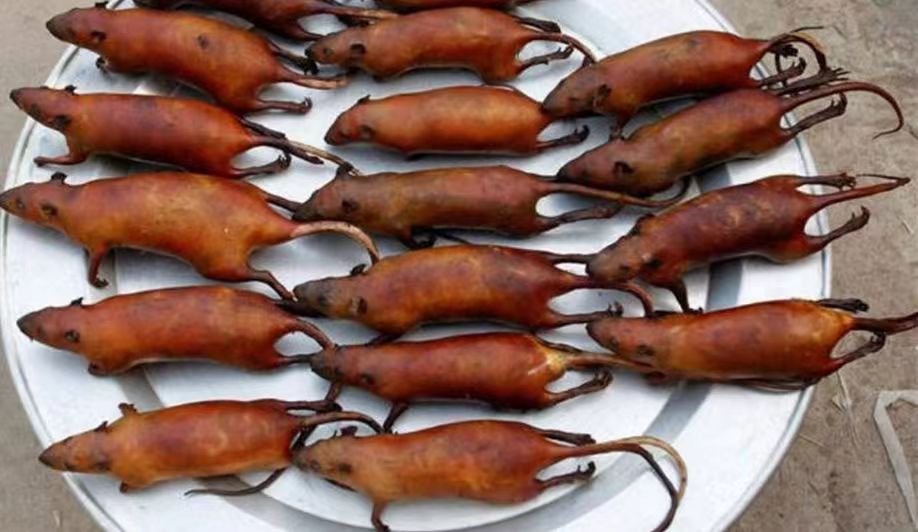 越南风味——烤田鼠!