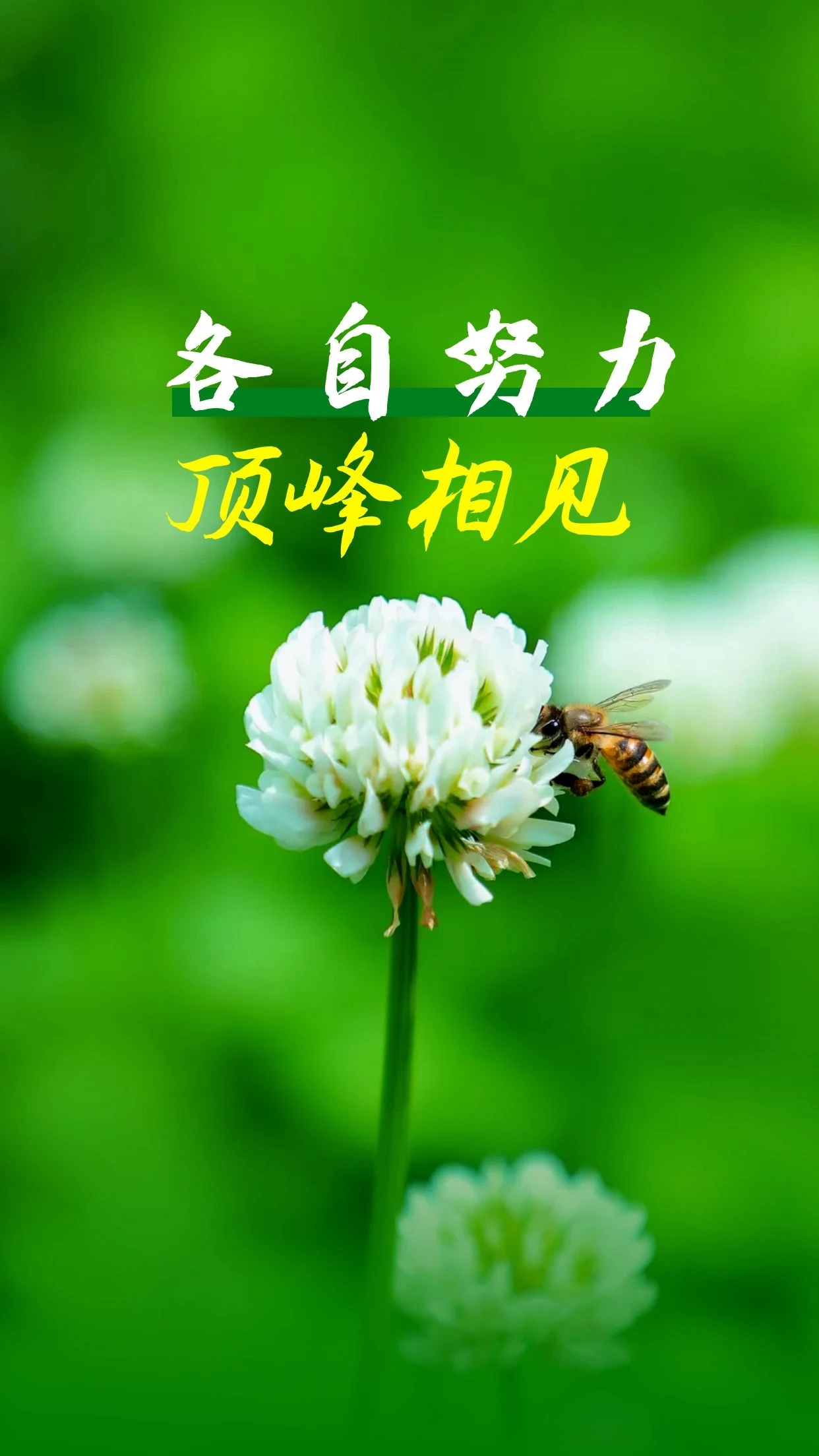 珍惜是幸福的意义