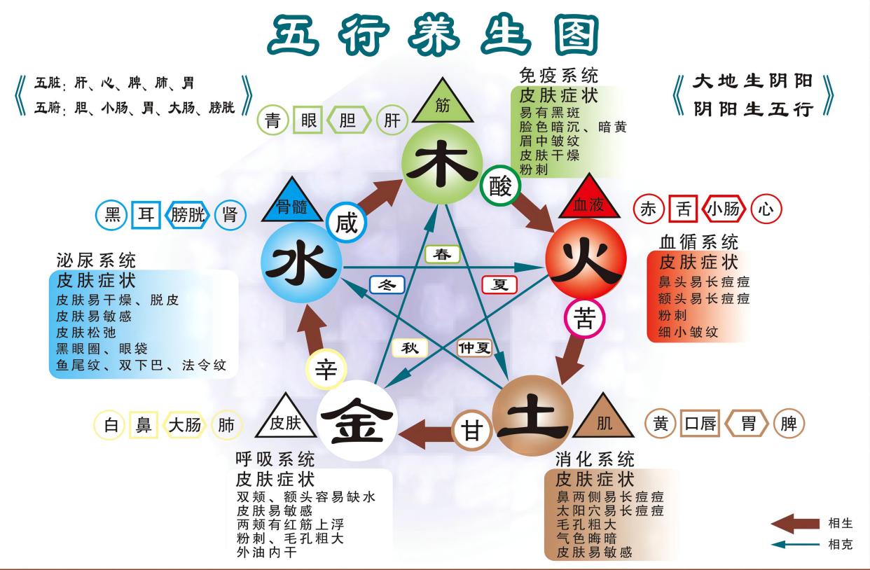 五味助益养生五脏法