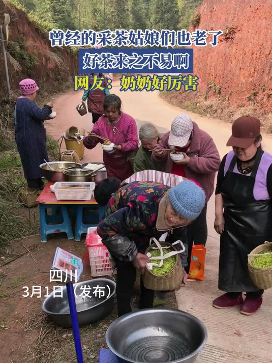 农村老奶奶摘茶叶视频（97岁老奶奶忙着给亲戚摘菜）《老奶奶采茶叶》