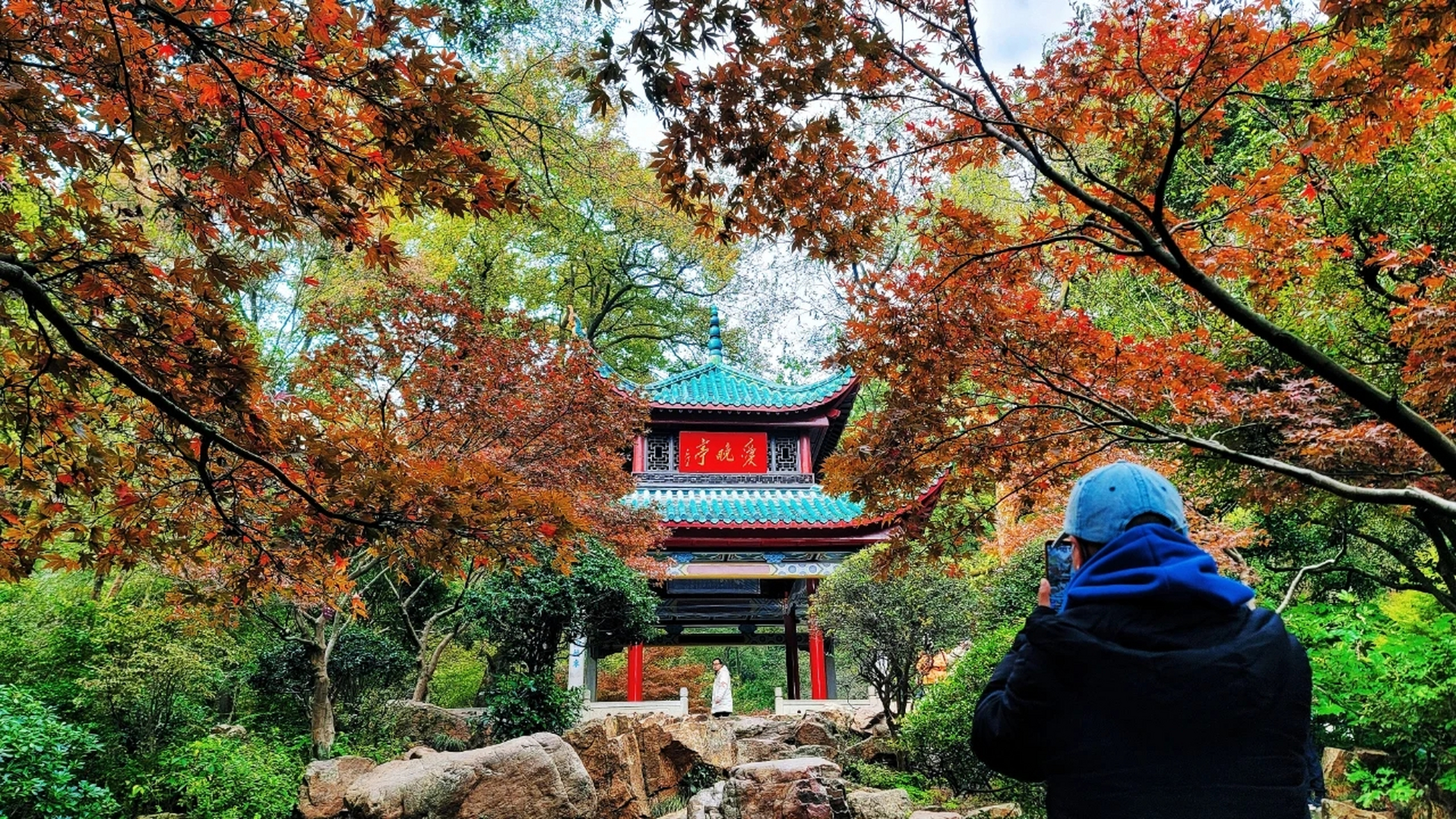 岳麓山图片 美景图片