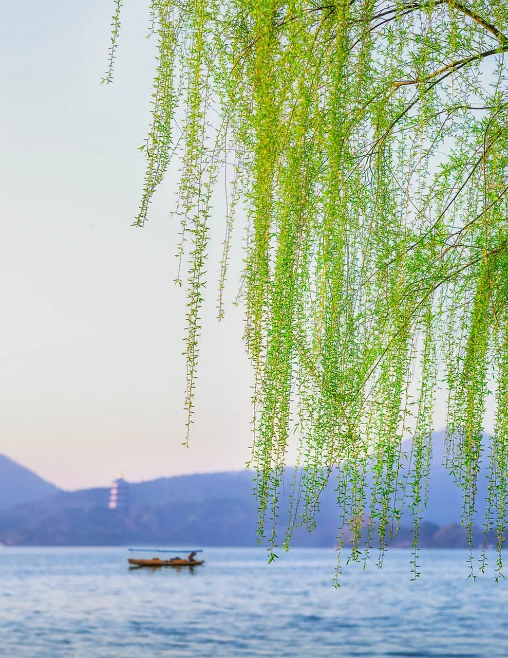 有网友在留言里问我——为何你喜欢把自己的背影照片