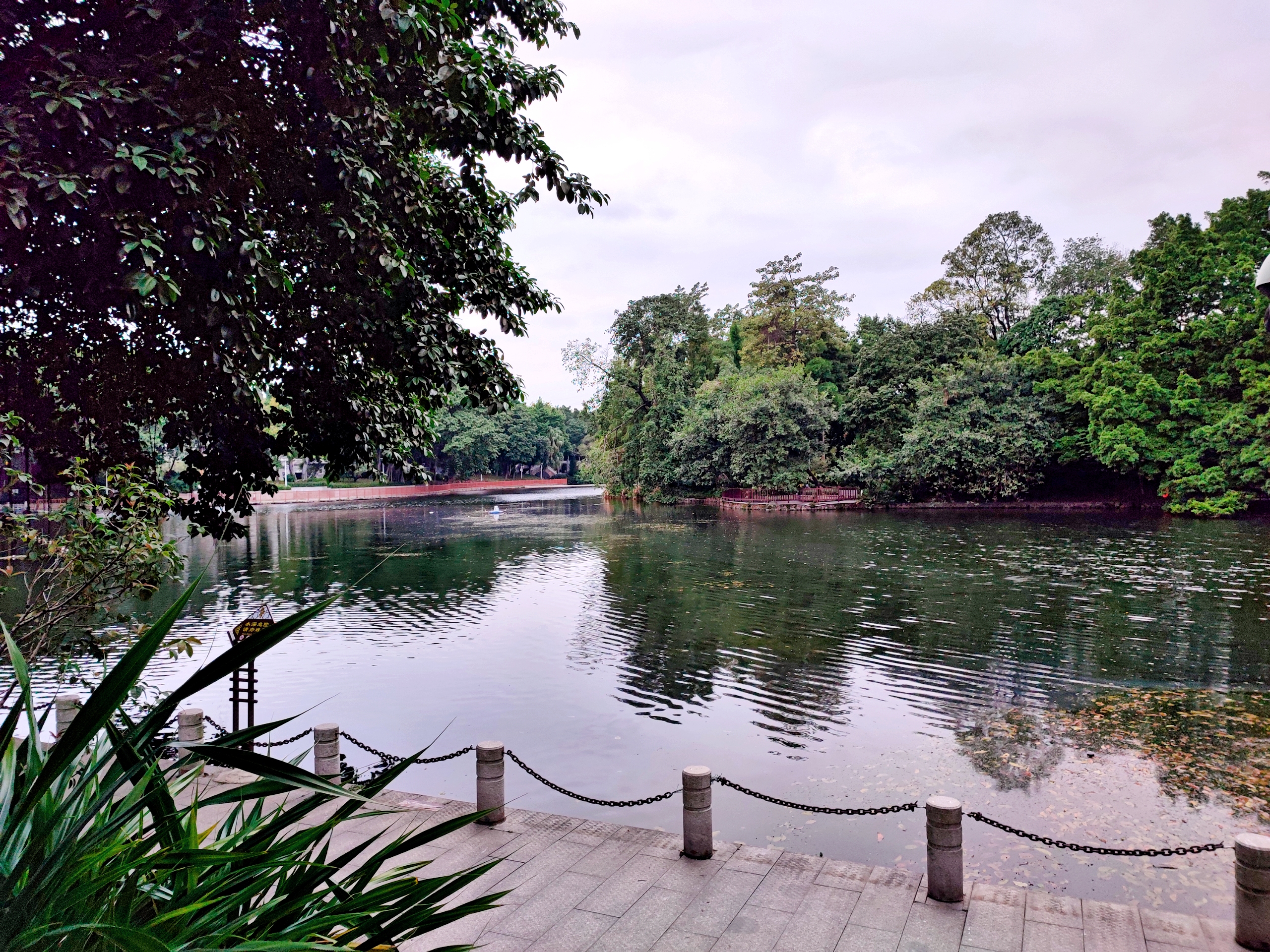 广州荔湾湖公园