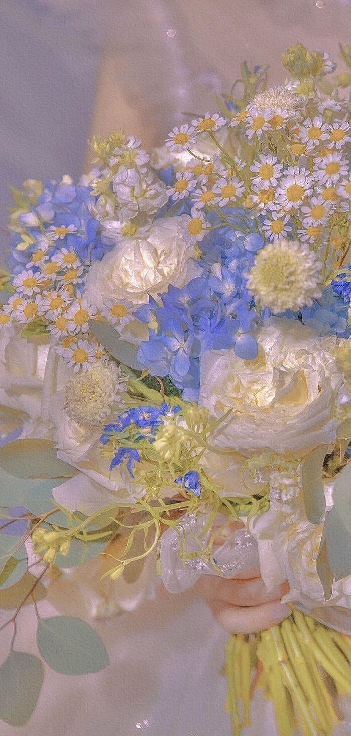 风景壁纸|花花壁纸