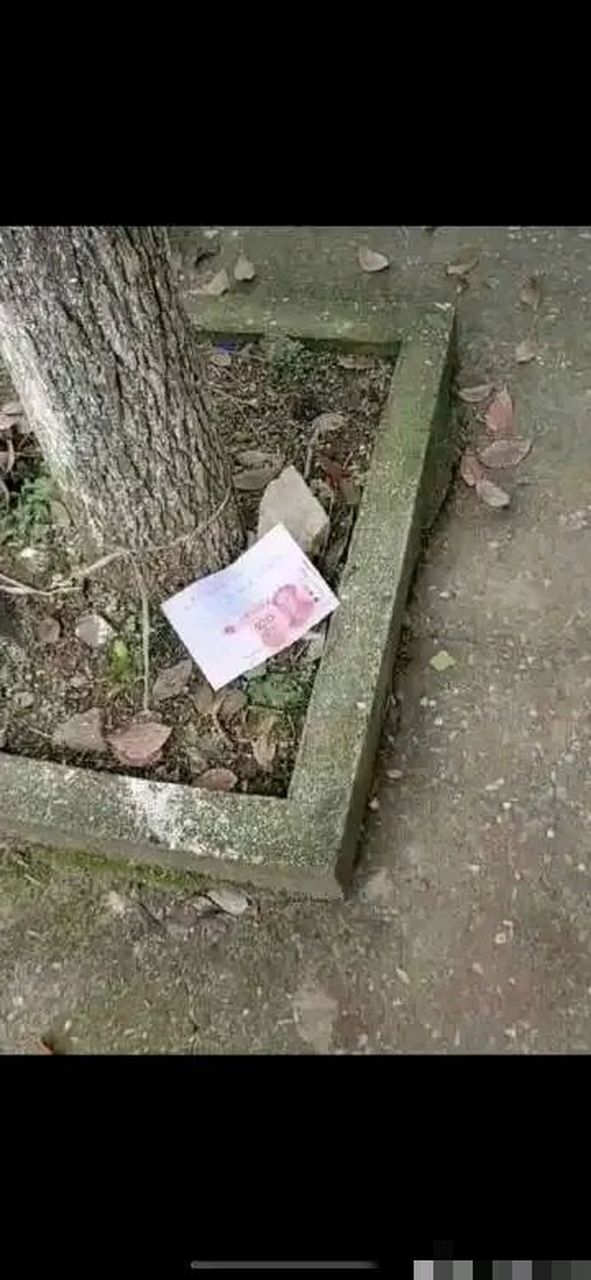 刚吃完饭出来溜达溜达, 突然发现树底下有张100元现金大钞,以为运气