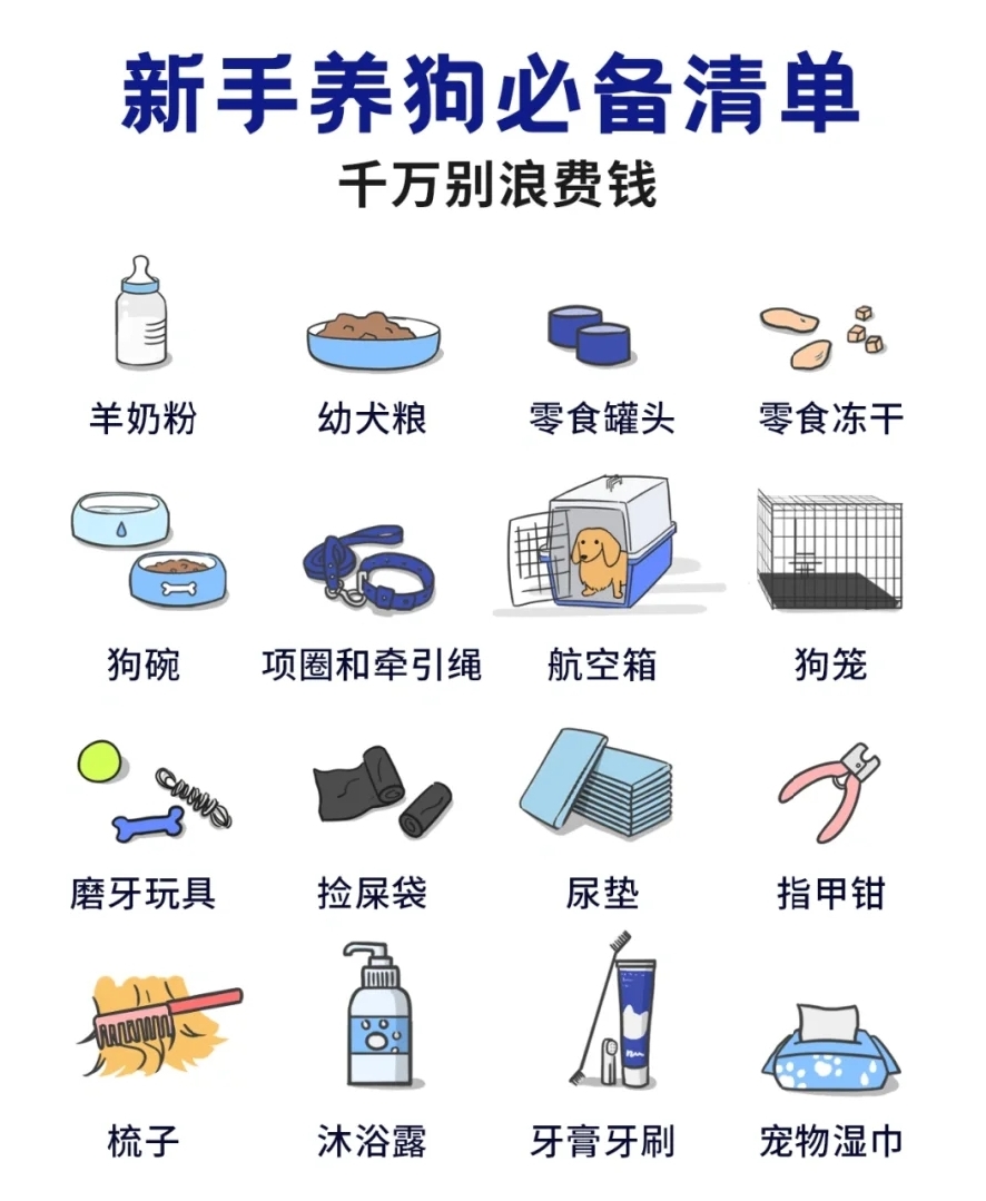 新手养狗必备清单!