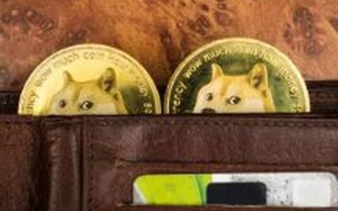 狗狗币（DOGE）引领加密货币市场飙升，24 小时内上涨 6%