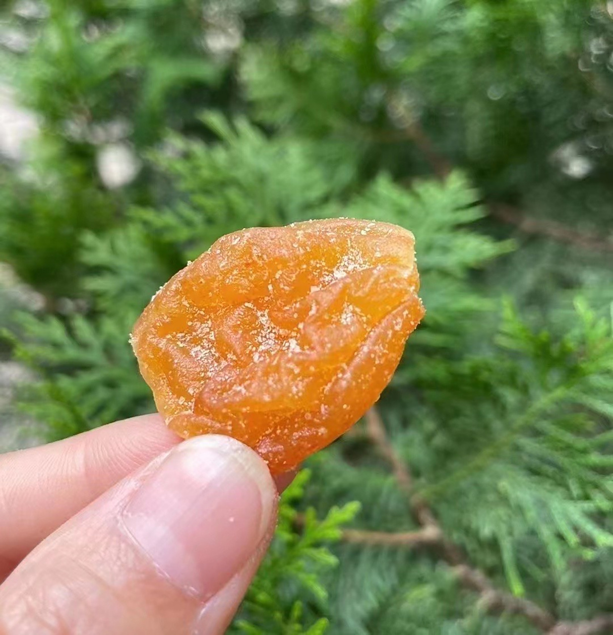 竹蜂盐枇杷干!  三年以上竹蜂盐!