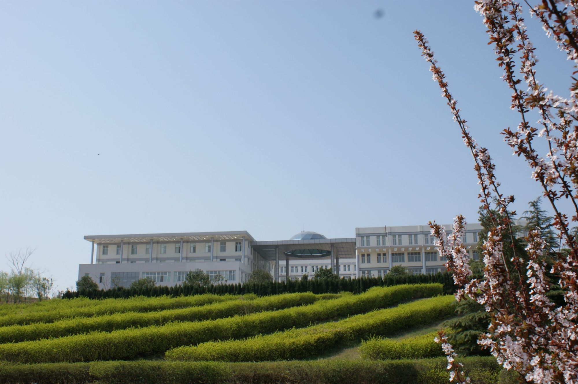 华南师范大学布局河南平顶山,为何如此?