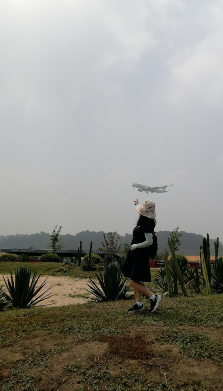 成都市双流区双流机场的空港花田免门票了,今天去玩,停车费10元.